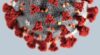 Photo: Our response to the Coronavirus pandemic, and how it affects our working operations (updated January 2022)