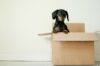 Photo: New Year, New Home: Why January is the Perfect Time to Make a Move