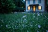 Photo: Why Conveyancing Takes So Long – And What’s Being Done to Speed It Up
